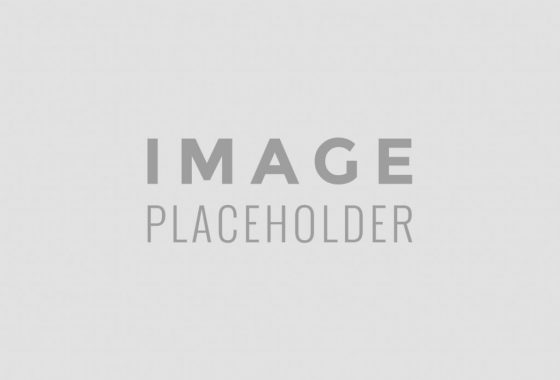 1d8ef901